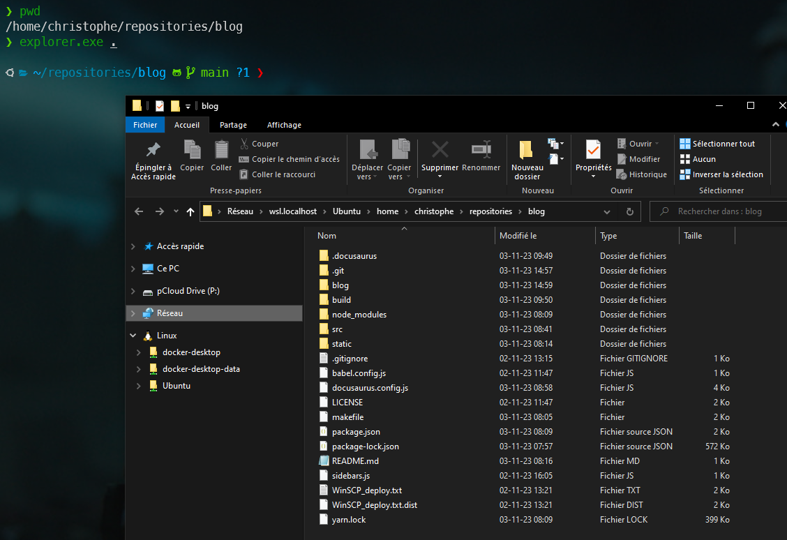 Navigating on the Linux filesystem with Explorer.exe